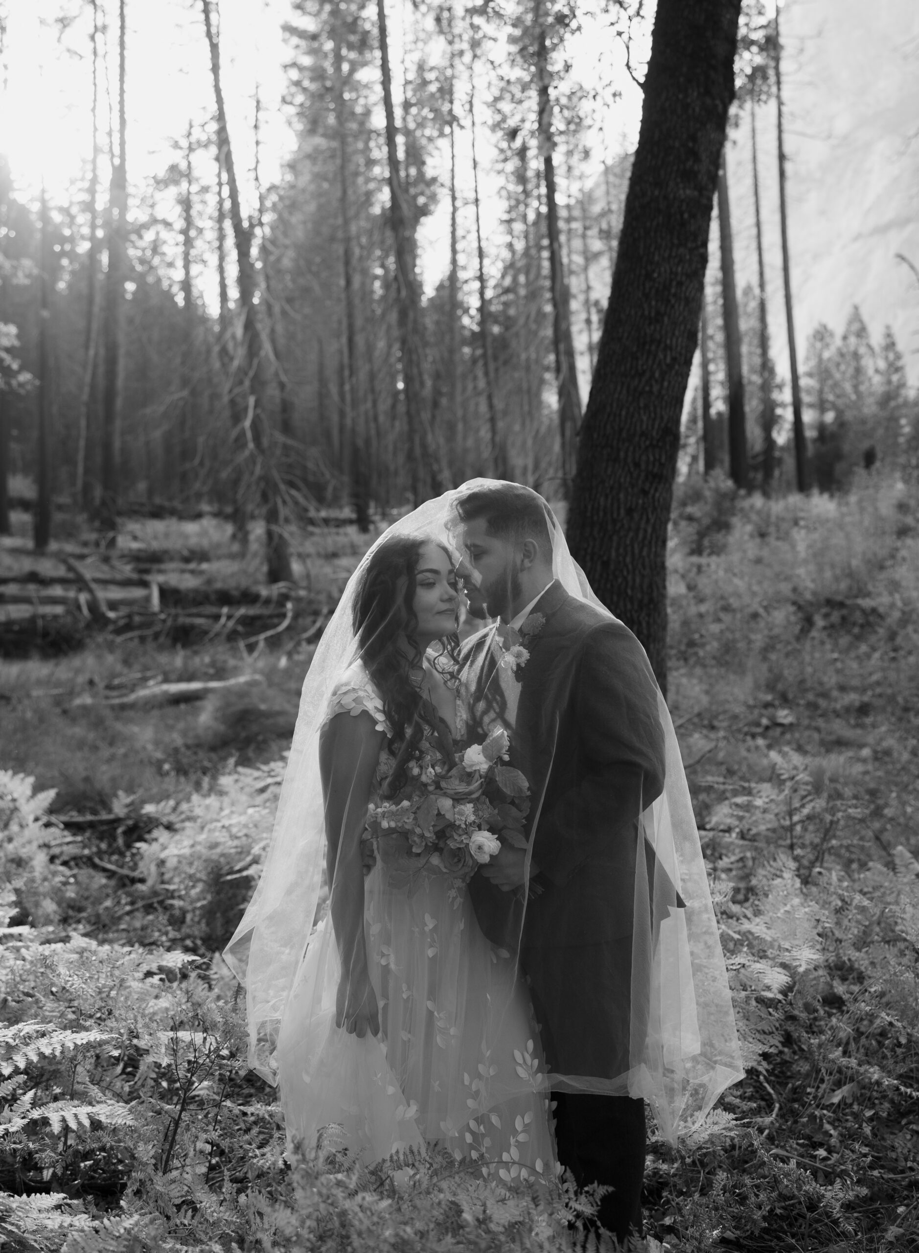 Black and white photo of bride and groom under veil at Yosemite National Park elopement