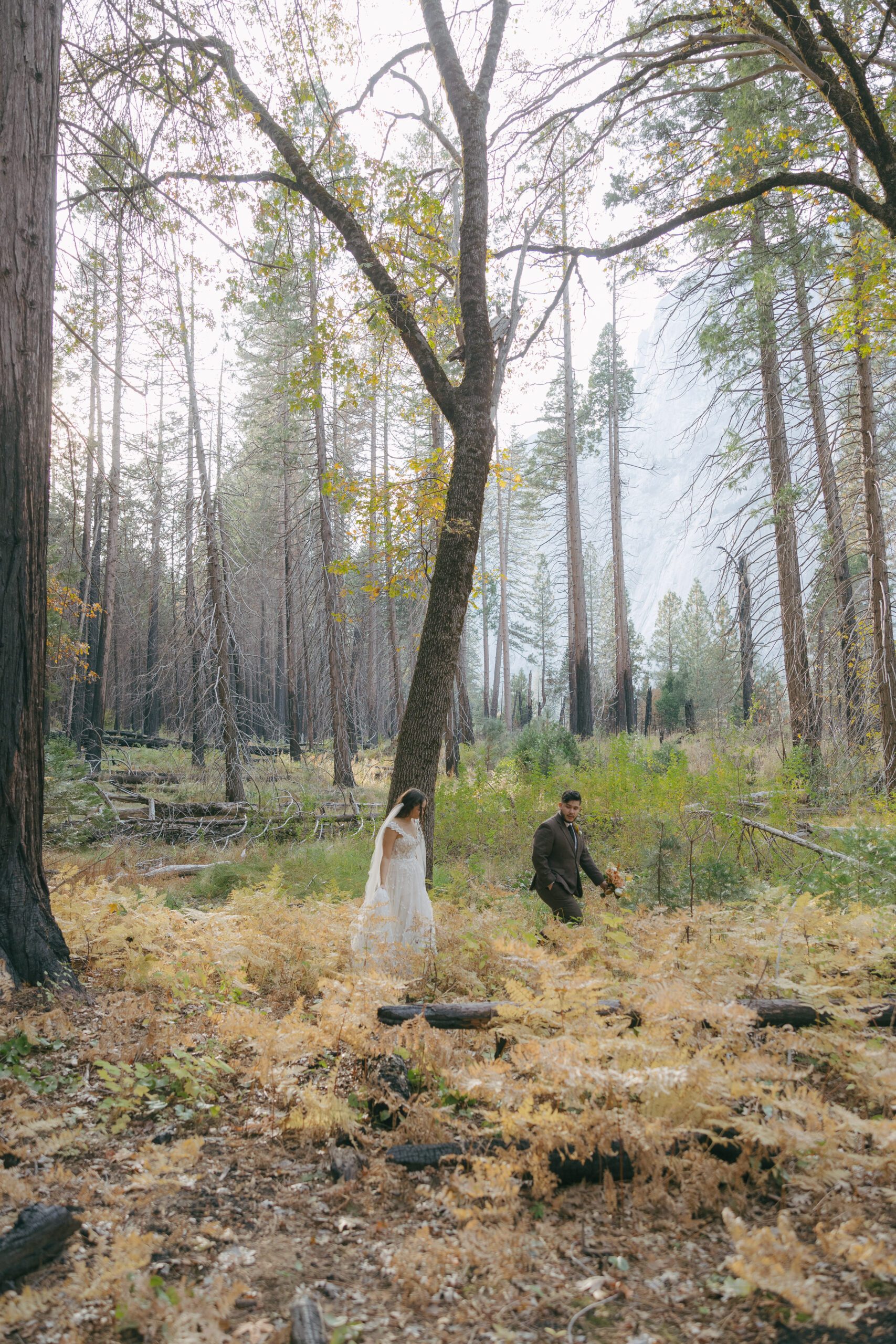 Bride and groom walking through the woods at Yosemite National Park for their Yosemite elopement with a mountain background