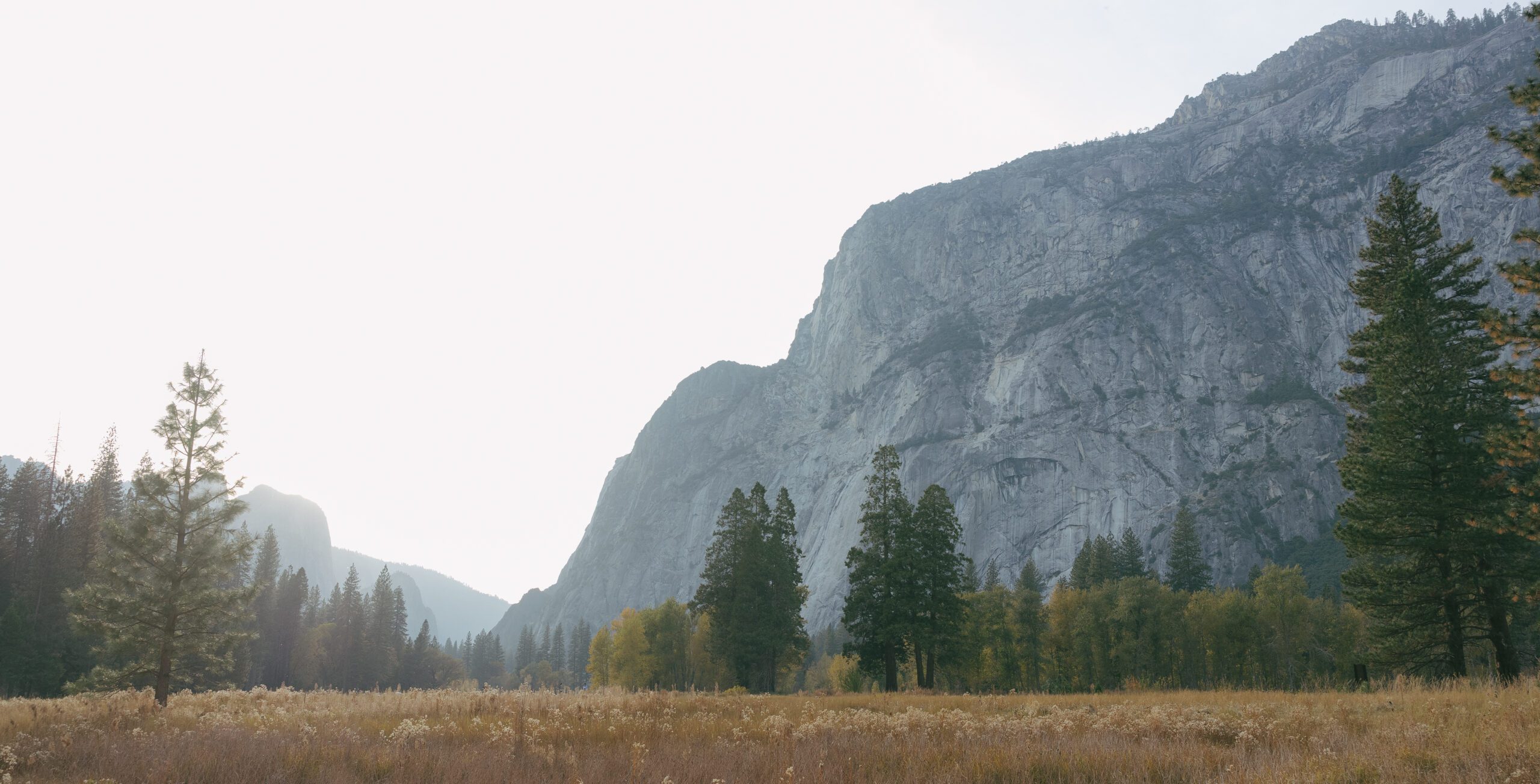 Yosemite Park Photography of mountain and trees
