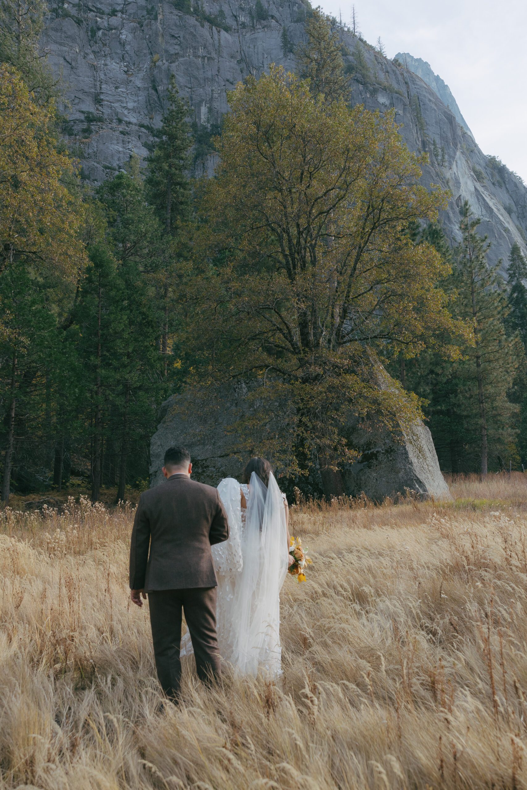 Bride and groom walking away from camera at Yosemite elopement with groom holding brides dress
