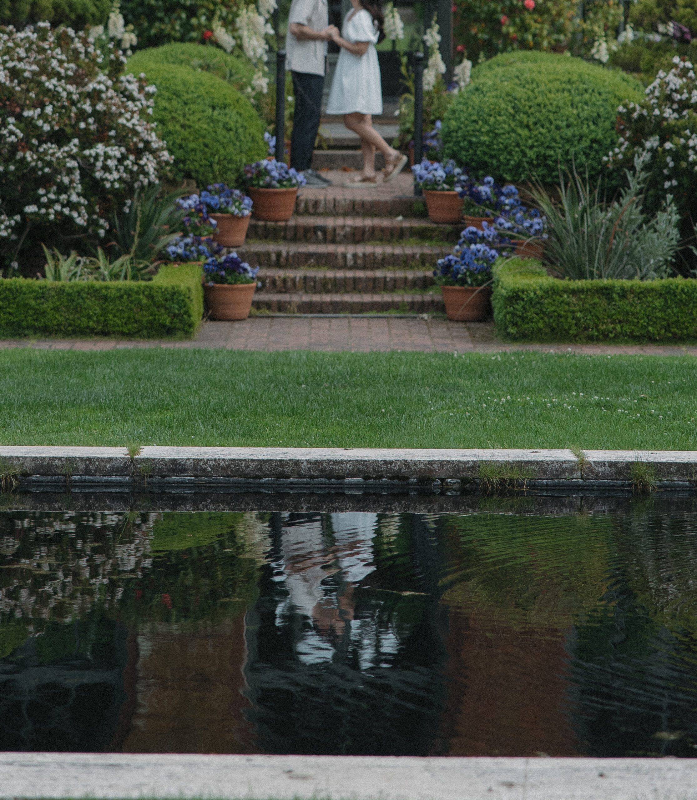 Editorial engagement photo of lake water reflection at Filoli Gardens