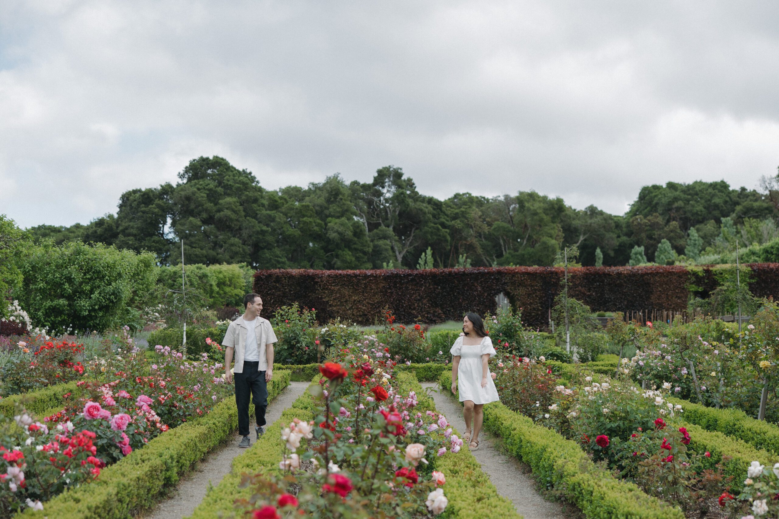 Couple looking at each other from across gardens in garden engagement photos in Northern California