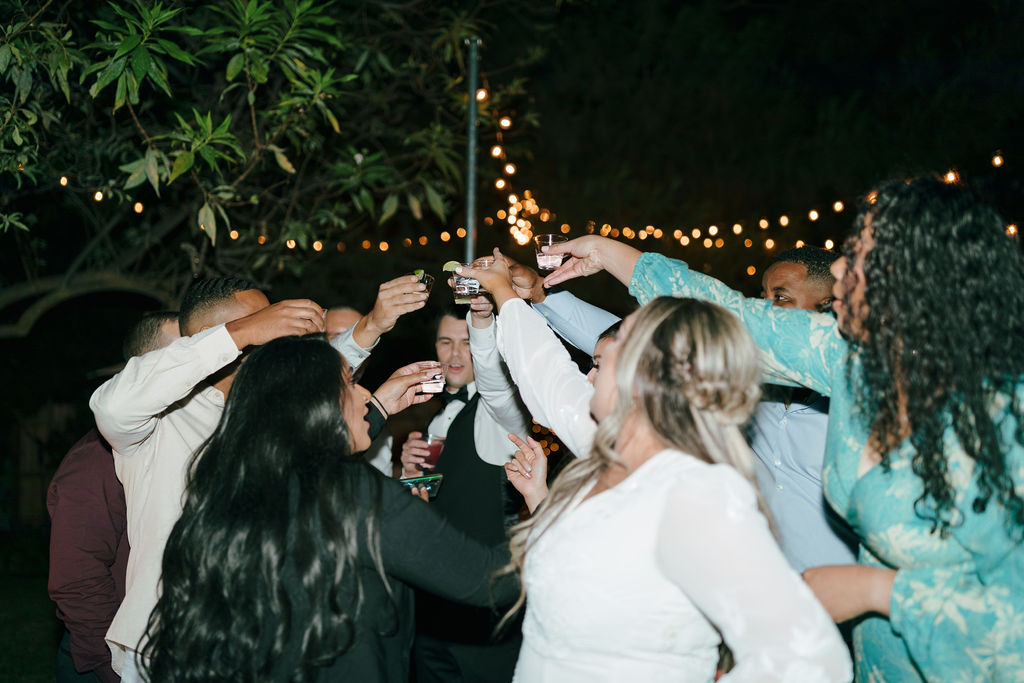 Crowd clinking drinks at outdoor California wedding reception