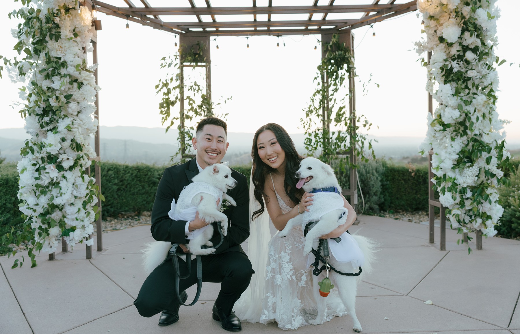 Bride and groom posing for photos with their dogs on their wedding day