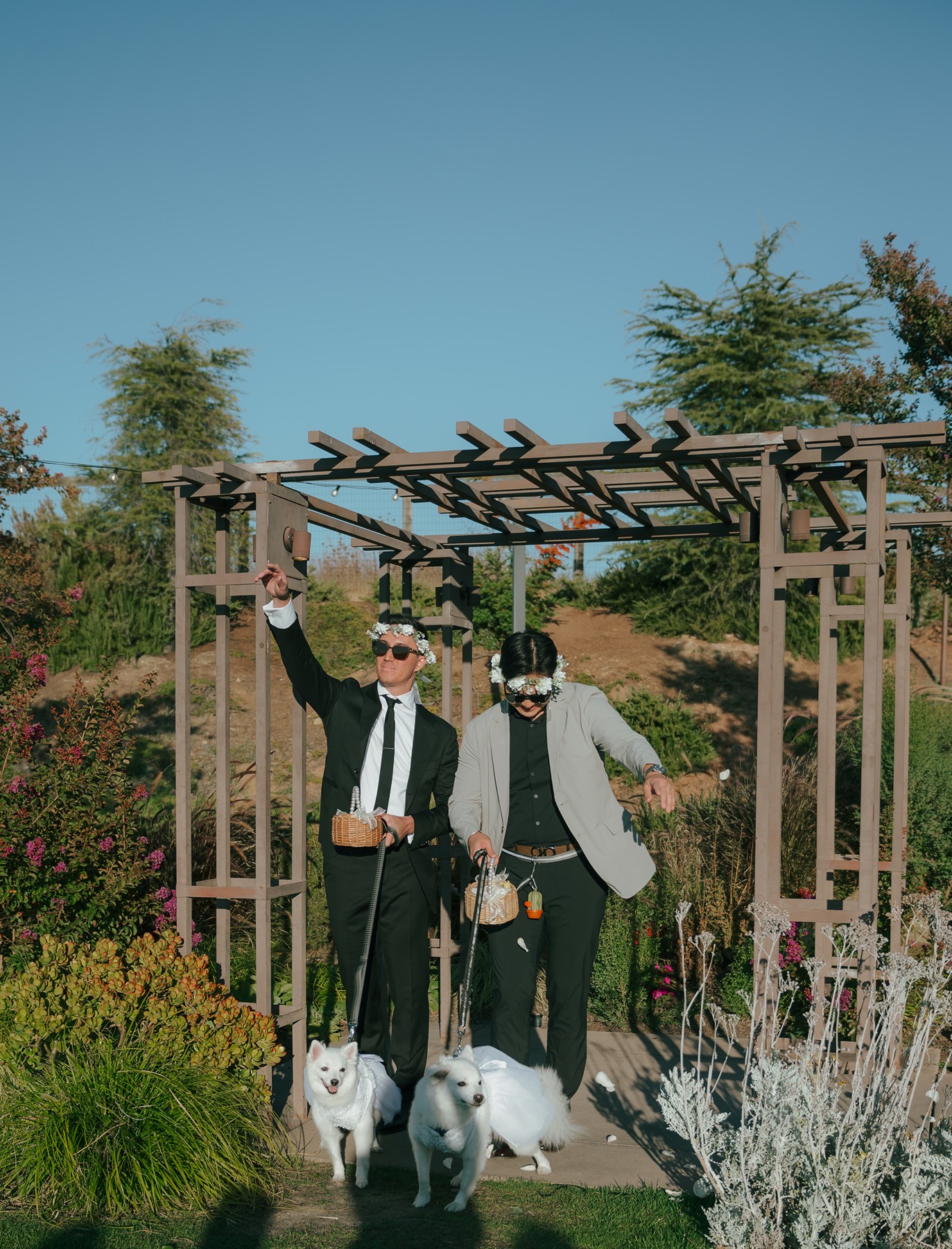 Groomsmen walking dogs down the aisle as flower dogs