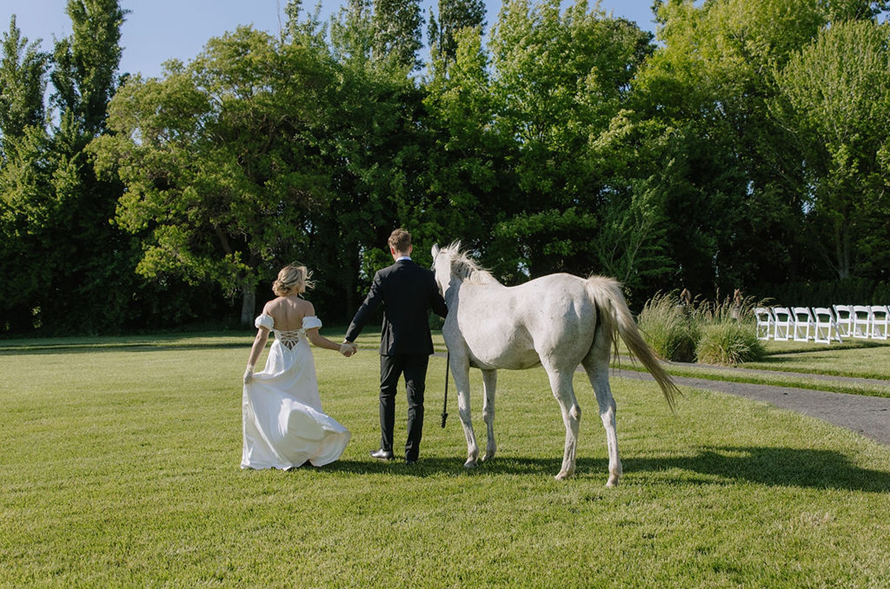 Bride and groom with a horse facing the driveway of a country estate that is covered by trees