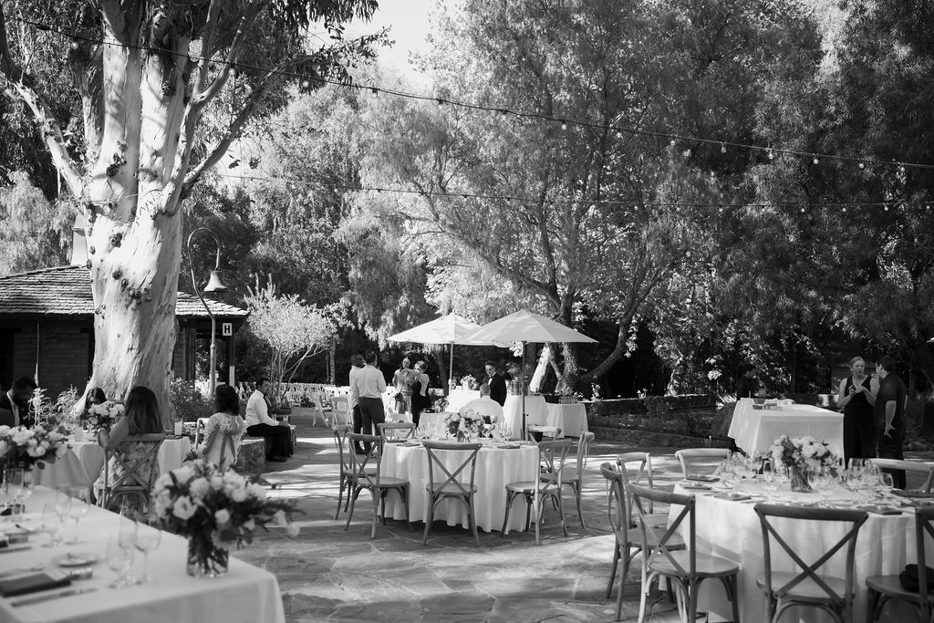 Black and white photo of guests arriving at wedding cocktail hour