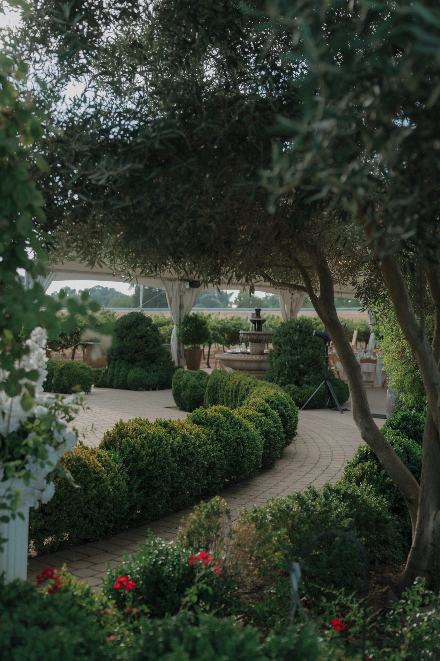 The garden courtyard at Scribner Bend Vineyards