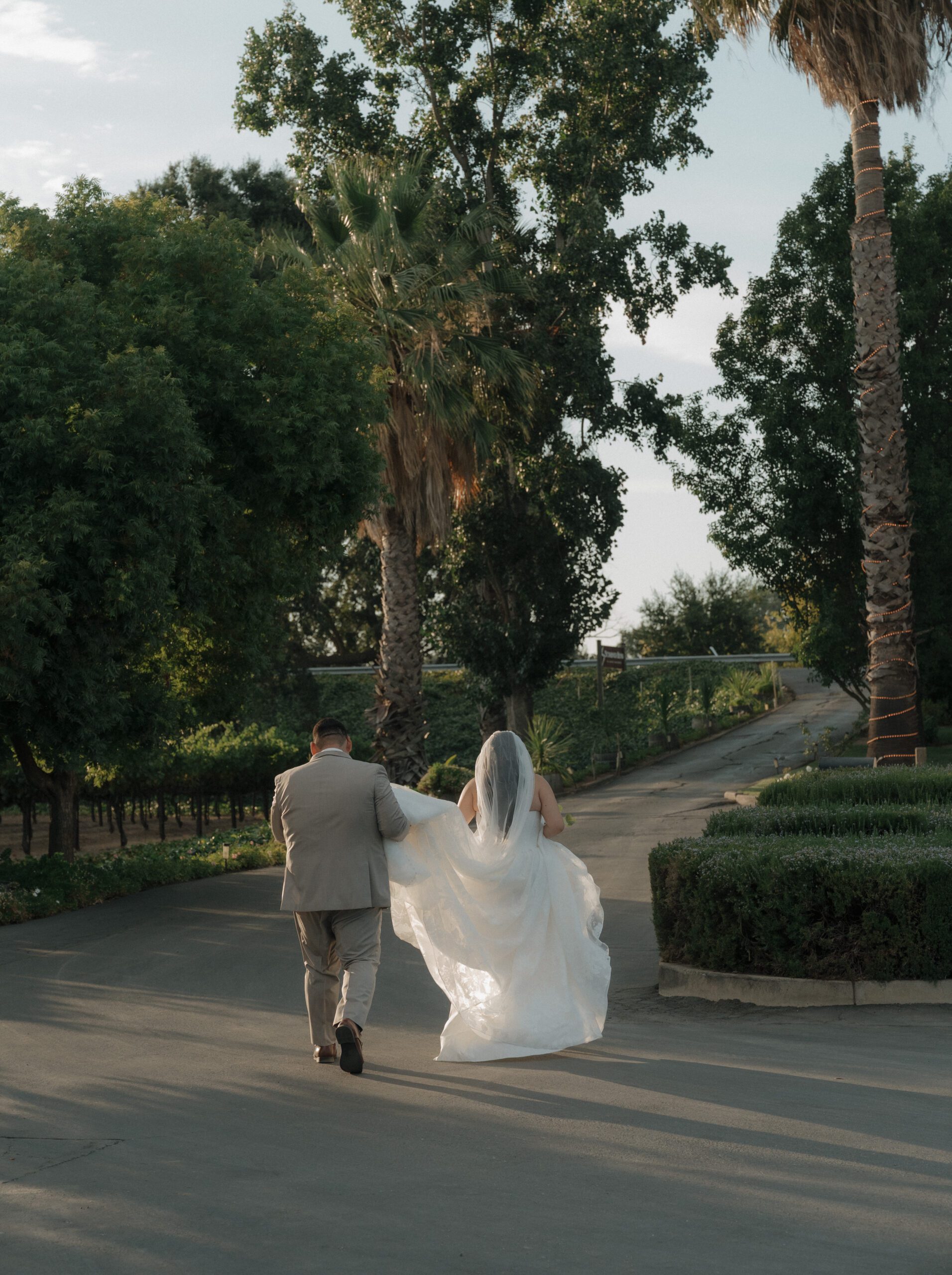 Bride and groom walking away from the camera after their ceremony