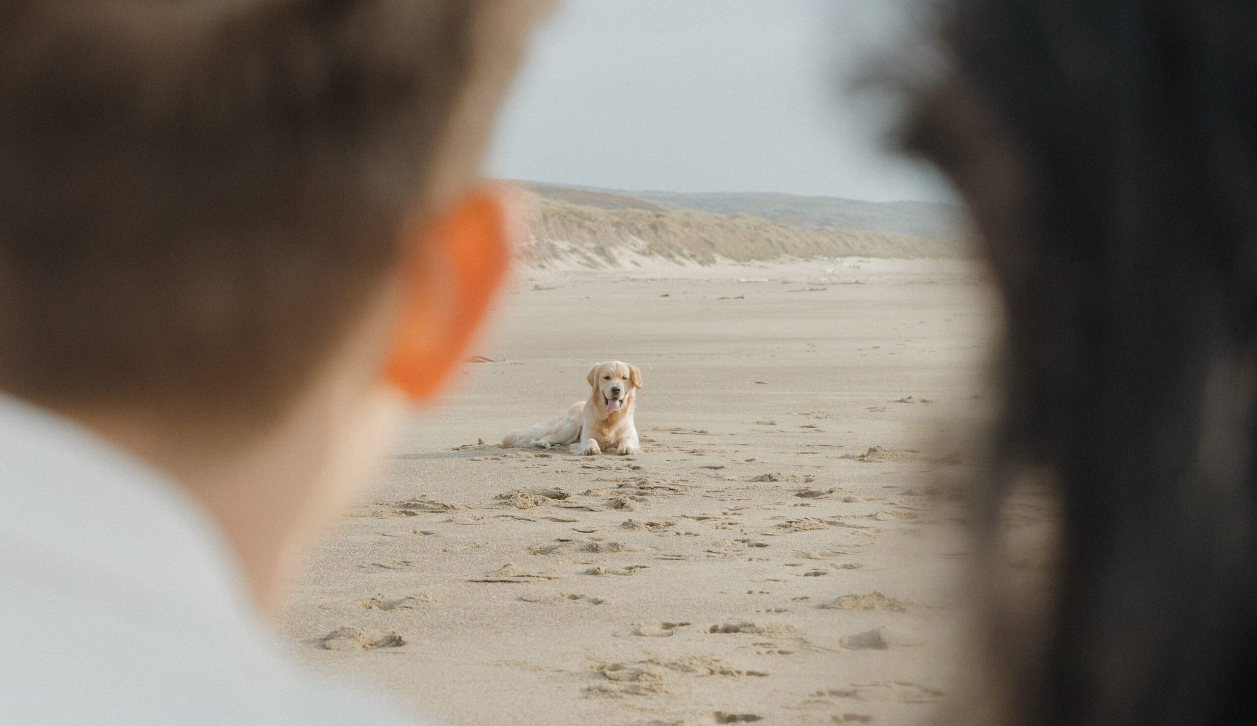 Dog laying on the beach in between couple during their engagement photoshoot