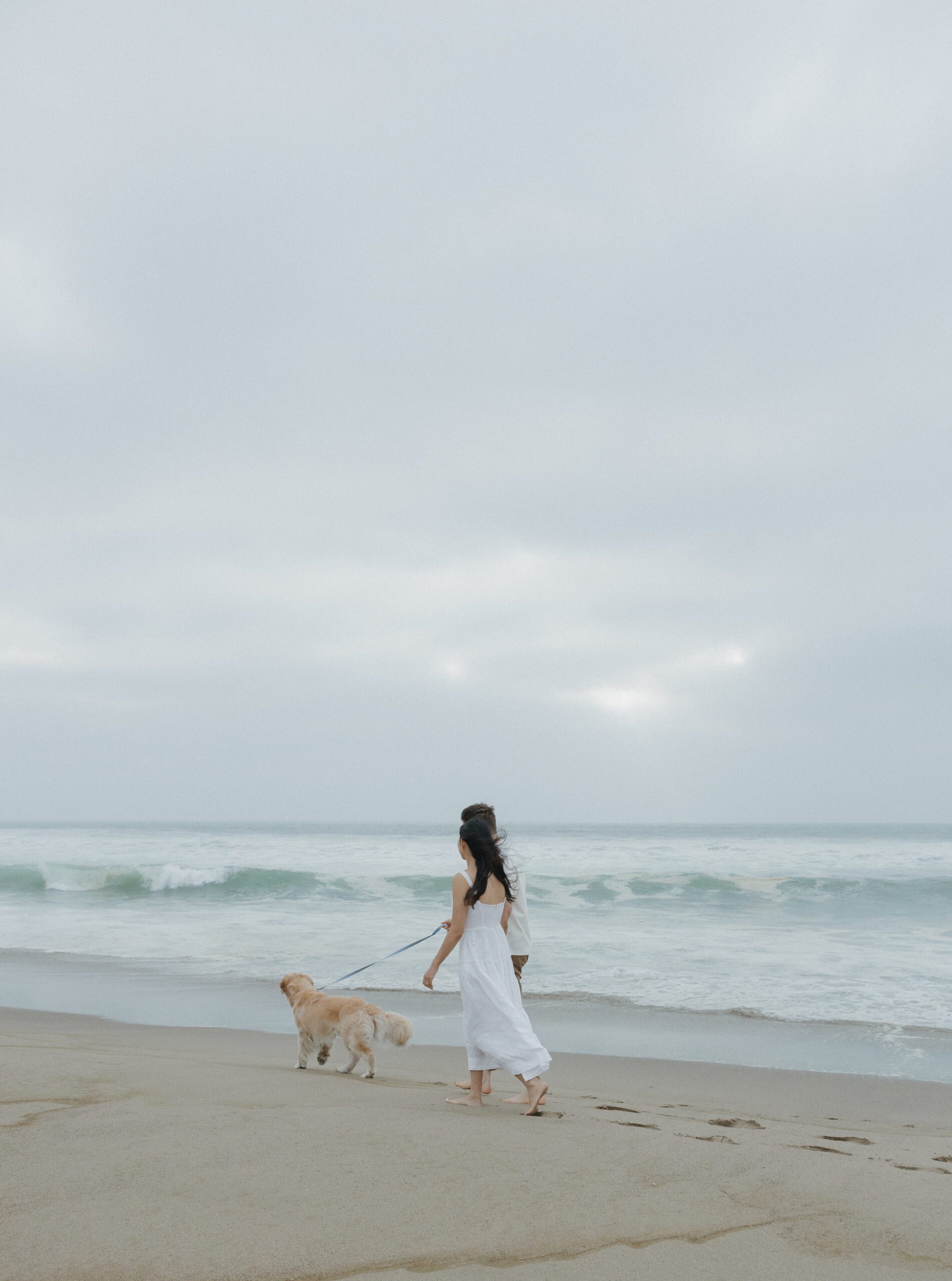 Couple walking their dog on the beach
