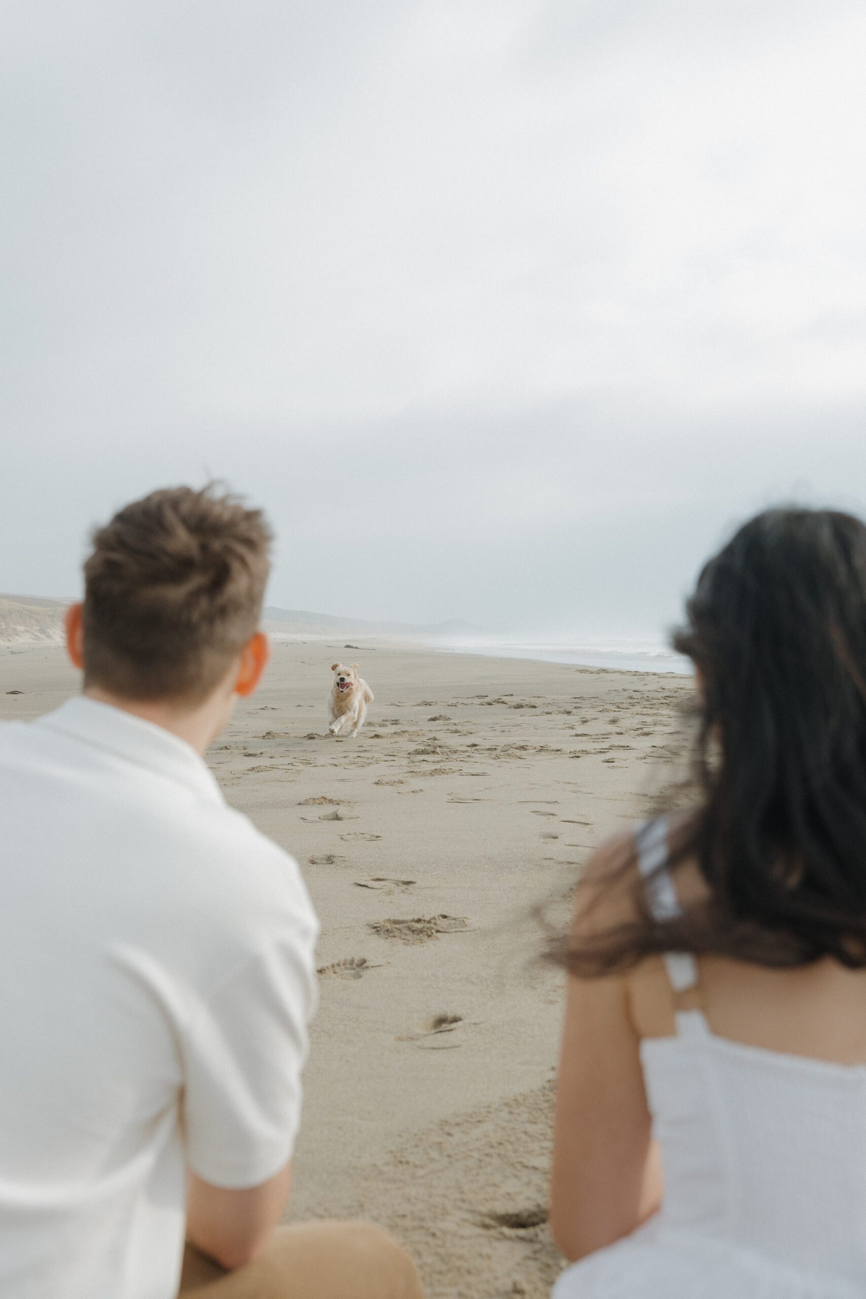 Couple watching their dog run towards them on the beach