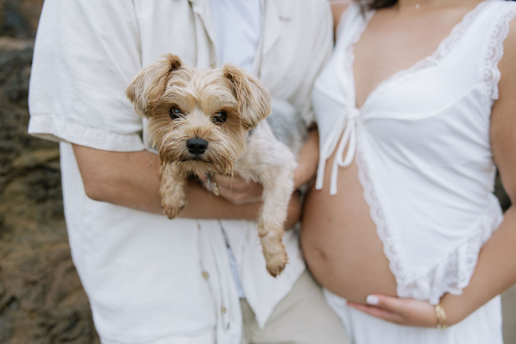 A couple who brought their dog to beach maternity photos