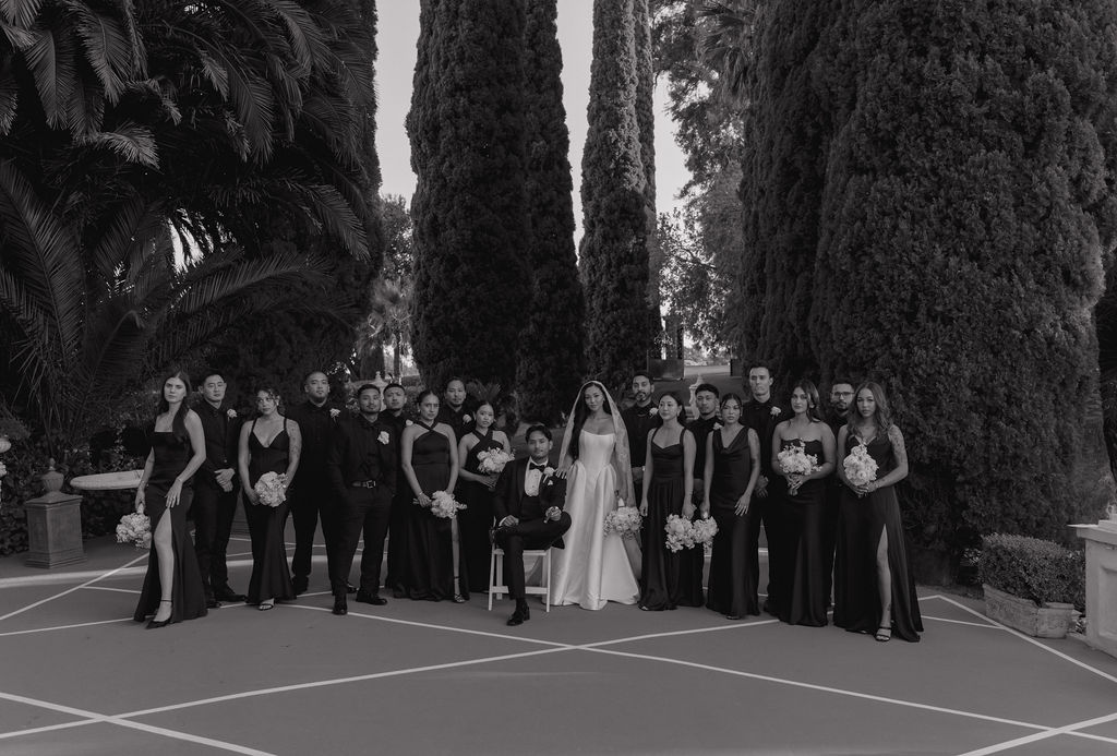 A bridal party from a grand island mansion wedding