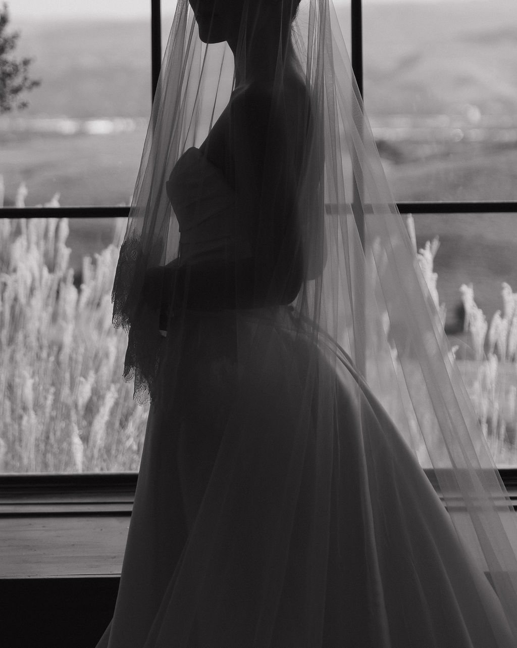 A bridal portrait of a silhouette of a bride under a veil