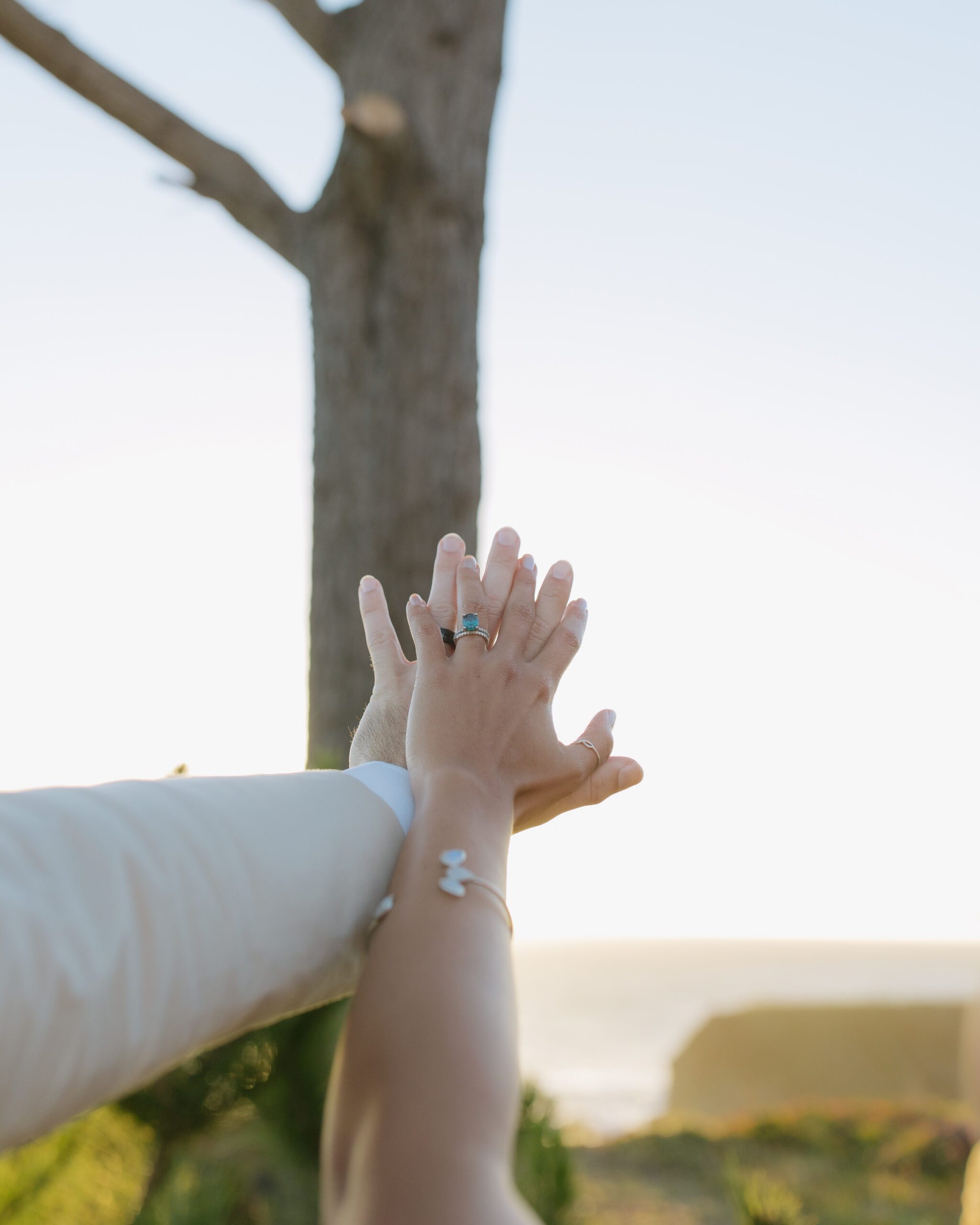 A bride and groom showing off their rings at their Bodega Bay