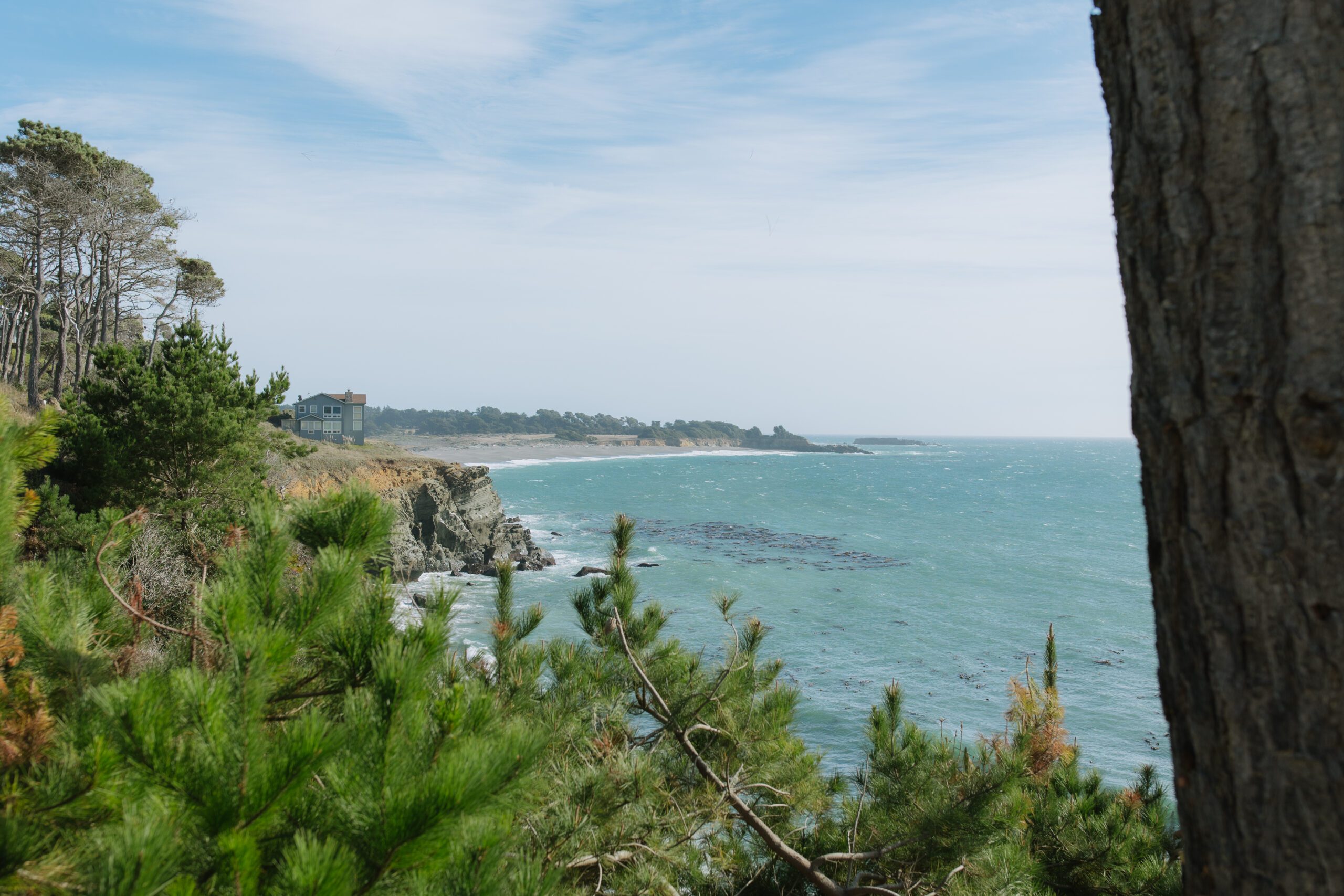 A view from a Northern California wedding location in Bodega Bay