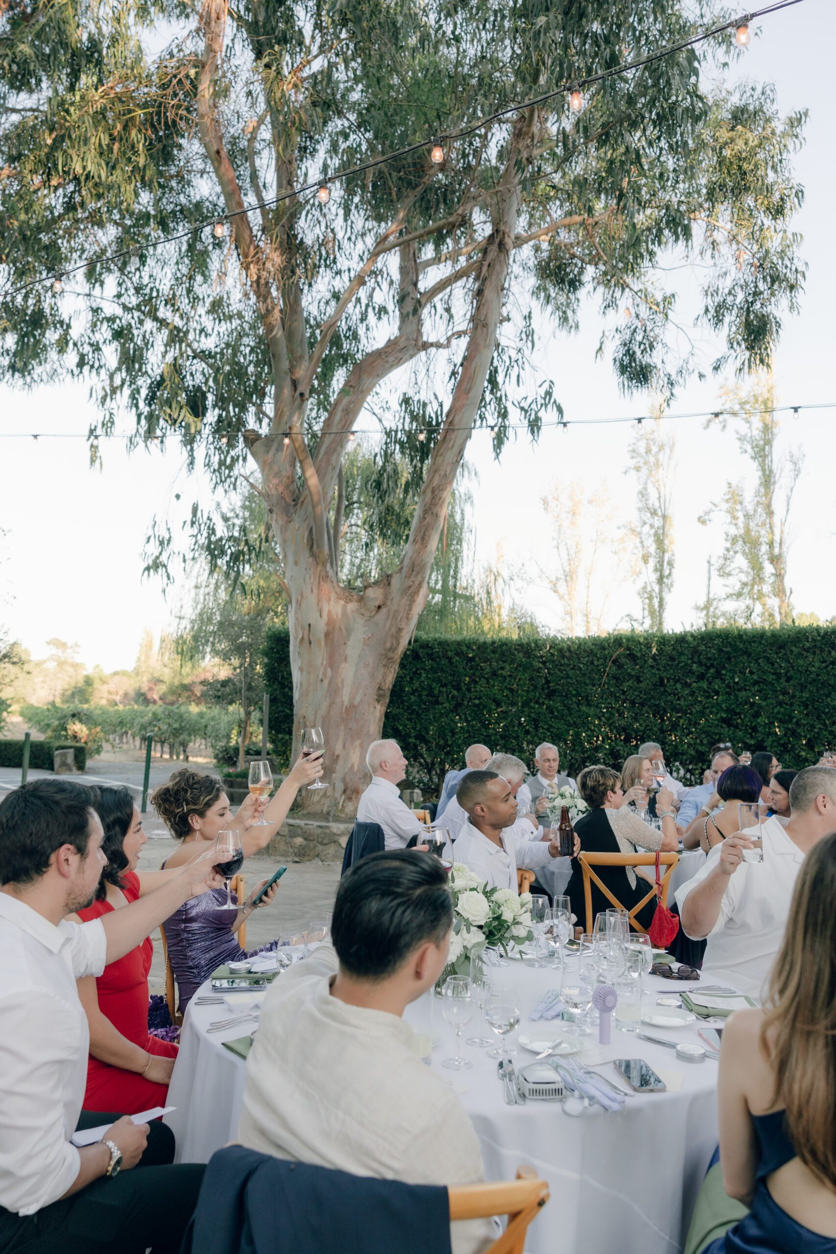 Guests raising their wine glasses at a Napa Valley wedding reception