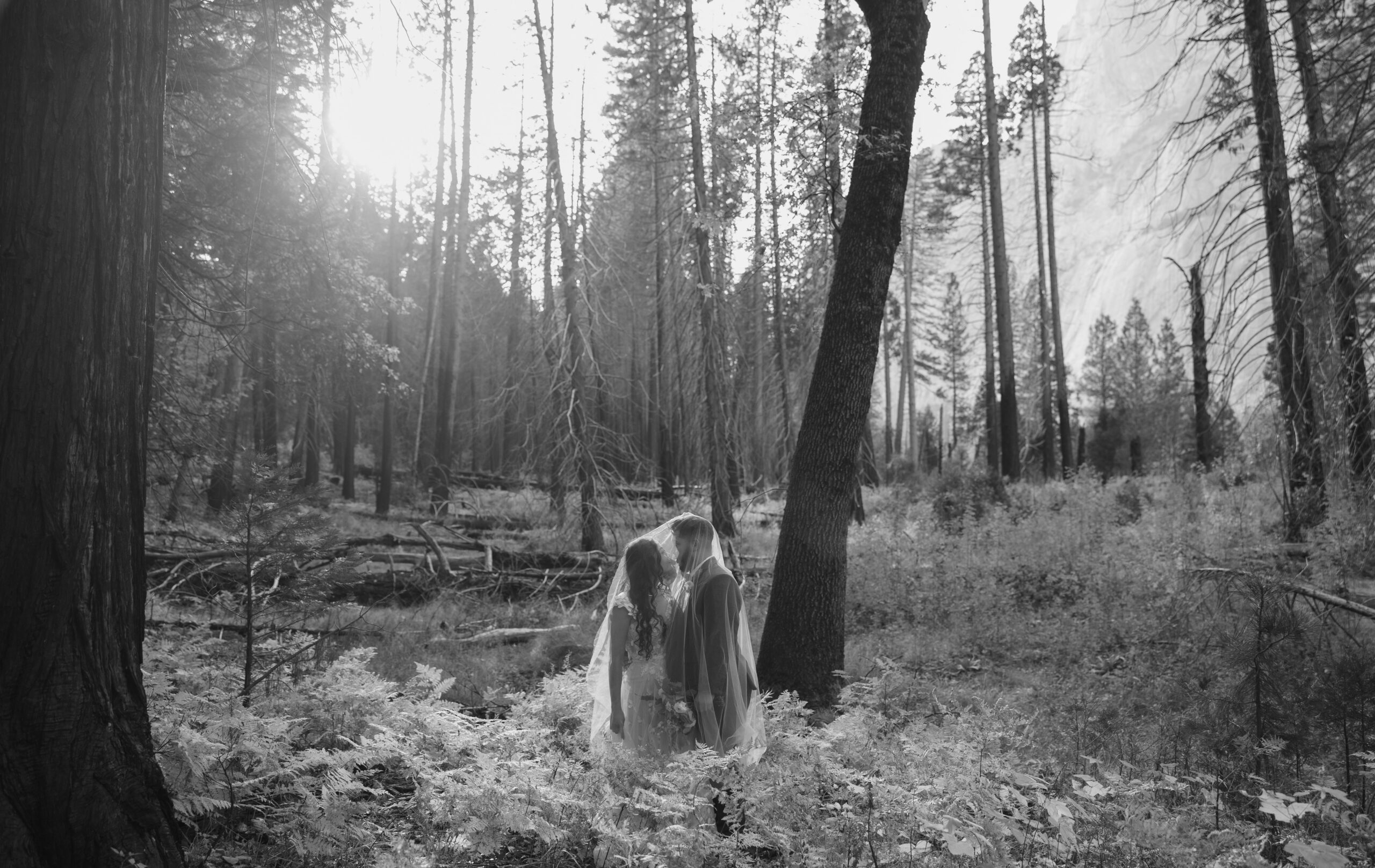 A black and white photo of a bride and groom posing in a forest for wedding photos in Yosemite