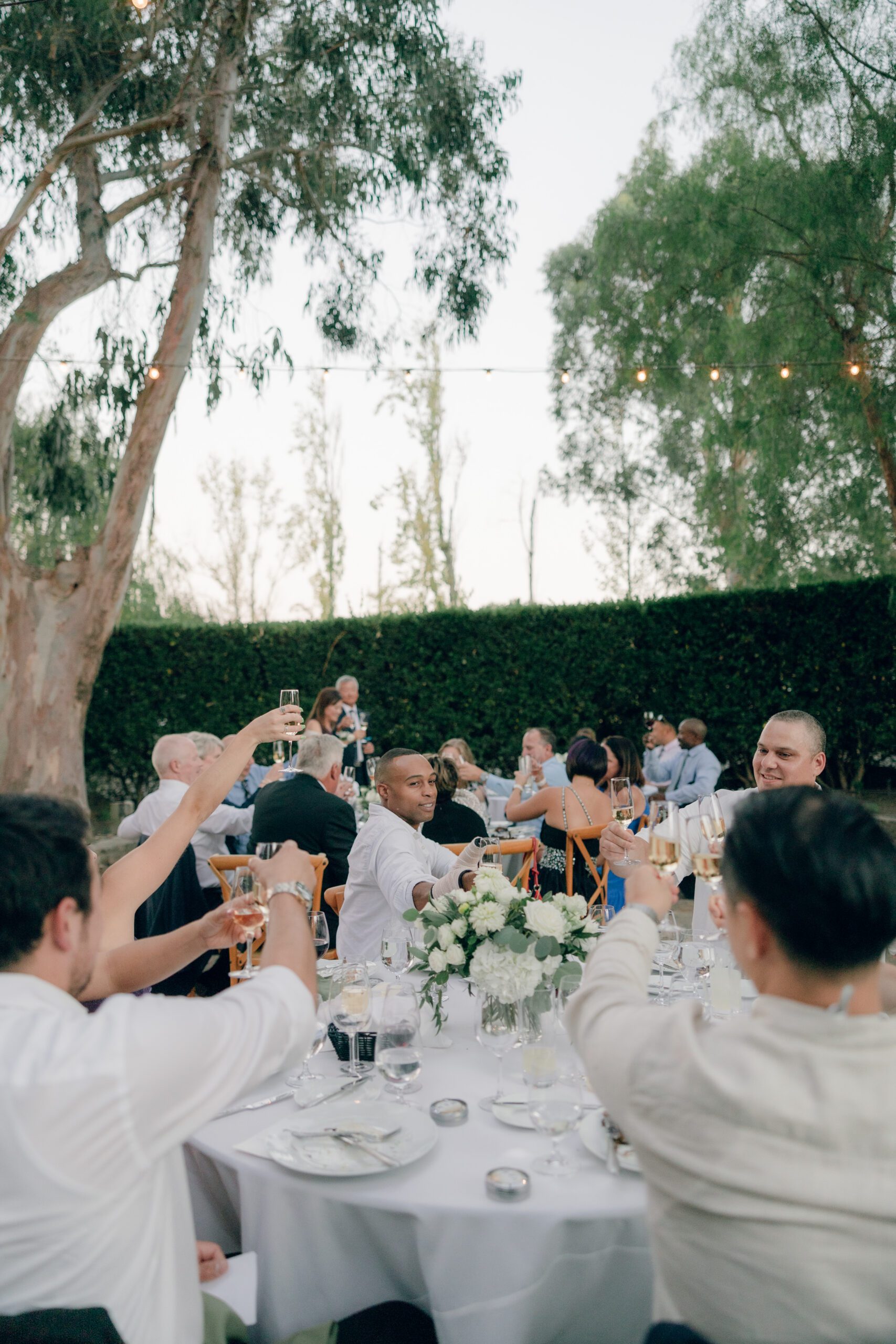 Guests raising their wine glasses at a Napa Valley wedding reception