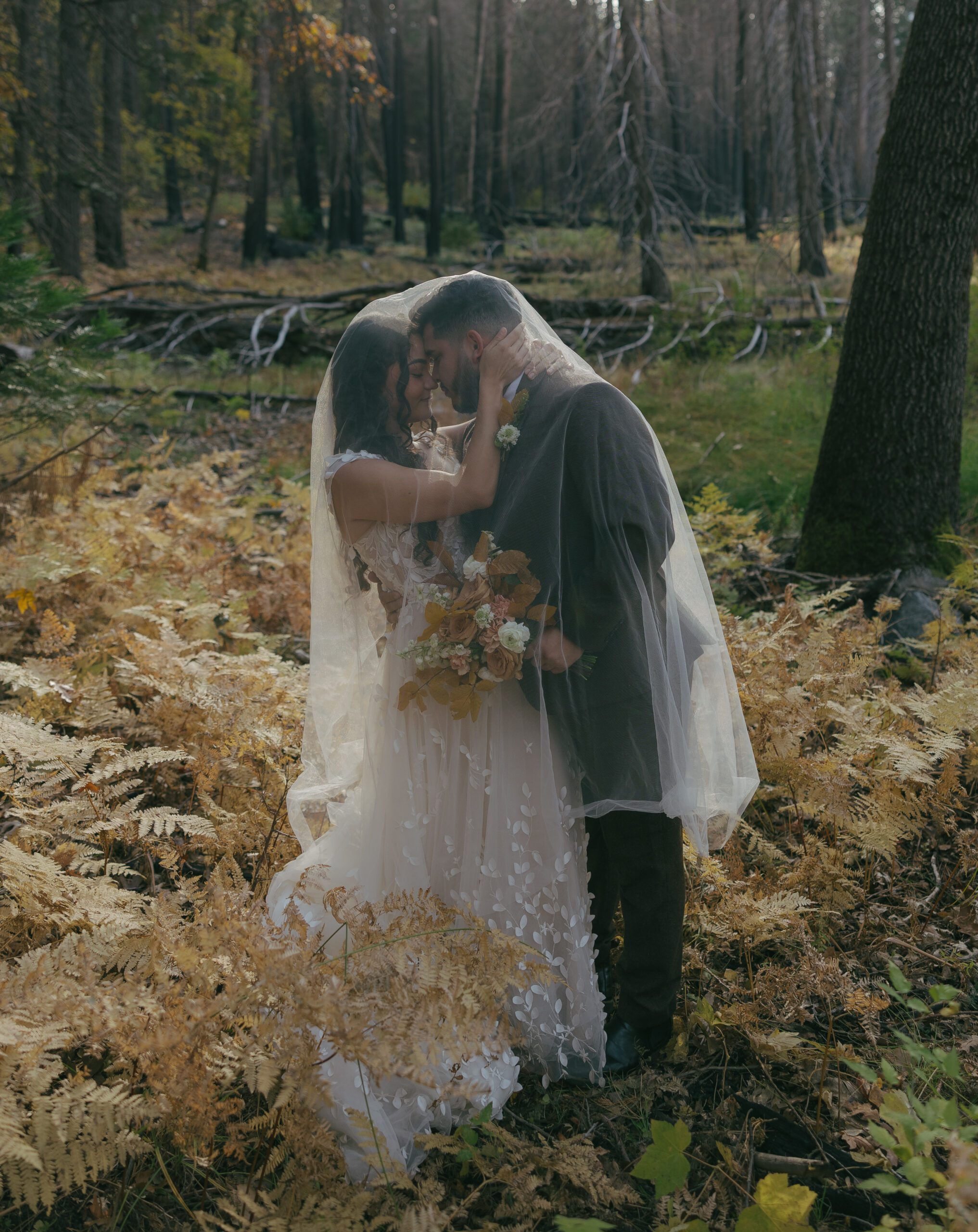 A bride and groom posing underneath a veil for Yosemite wedding photos
