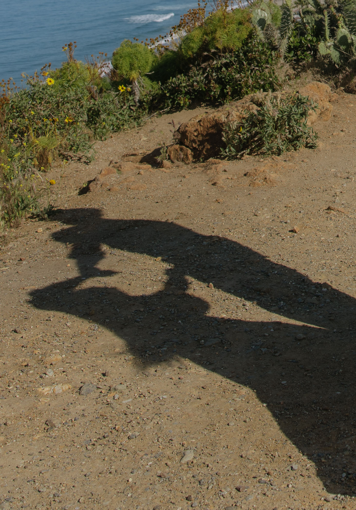 A couple's shadows during their beach engagement pictures