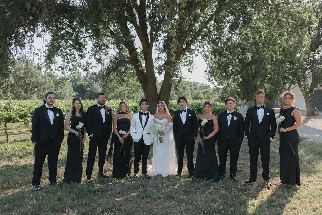 Wedding party photos from a Lamoure Vineyards wedding