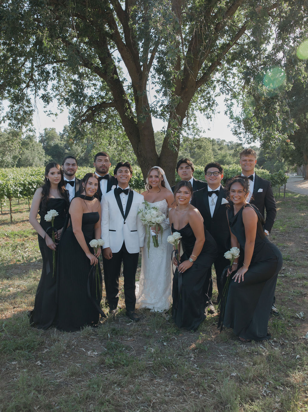 Wedding party photos at Lamoure Vineyards